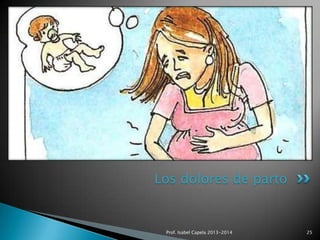 Los dolores de parto

Prof. Isabel Capela 2013-2014

25

 