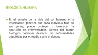BIOLOGÍA HUMANA
 Es el estudio de la vida del ser humano o la
información genética que cada individuo trae en
sus genes, puede proteger o favorecer la
aparición de enfermedades. Dentro del factor
biológico podemos destacar las enfermedades
adquiridas por el medio como el dengue.
 