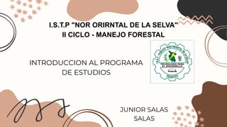 I.S.T.P "NOR ORIRNTAL DE LA SELVA"
II CICLO - MANEJO FORESTAL
INTRODUCCION AL PROGRAMA
DE ESTUDIOS
JUNIOR SALAS
SALAS
 