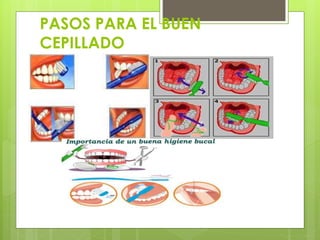 PASOS PARA EL BUEN
CEPILLADO