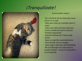 ¡Tranquilízate!
Como puede relajar?
-Ser consiente de las cosas que causa
estrés en tu vida
-Sabe que cosas va a cambiar para el
mejor
-Hace una rutina de hacer ejercicio
-Come comida de buena nutrición
-Practica respiración
-Duerme mínimo de 7 horas cada
noche
-Dase un capricho ocasionalmente
-Pasa tiempo con sus amigos
-Hace yoga y ejercicios de flexibilidad
-No se preocupa con cosas que no
puede cambiar—cosas en el pasado o
en el presente
 