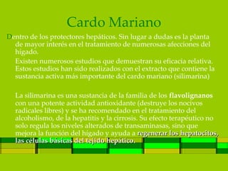 Cardo Mariano
Dentro de los protectores hepáticos. Sin lugar a dudas es la planta
  de mayor interés en el tratamiento de numerosas afecciones del
  hígado.
  Existen numerosos estudios que demuestran su eficacia relativa.
  Estos estudios han sido realizados con el extracto que contiene la
  sustancia activa más importante del cardo mariano (silimarina)

  La silimarina es una sustancia de la familia de los flavolignanos
  con una potente actividad antioxidante (destruye los nocivos
  radicales libres) y se ha recomendado en el tratamiento del
  alcoholismo, de la hepatitis y la cirrosis. Su efecto terapéutico no
  solo regula los niveles alterados de transaminasas, sino que
  mejora la función del hígado y ayuda a regenerar los hepatocitos,
  las células básicas del tejido hepático.
                                 hepático
 