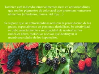 También está indicado tomar alimentos ricos en antiocianidinas,
  que son los pigmentos de color azul que presentan numerosos
  alimentos (arándanos, moras, vid roja,…)

Se supone que las antiocianidinas reducen la peroxidación de las
   grasas, especialmente en personas alcohólicas. Su efectividad
   se debe esencialmente a su capacidad de neutralizar los
   radicales libres, moléculas nocivas que destruyen la
   membrana celular de los hepatocitos.
 