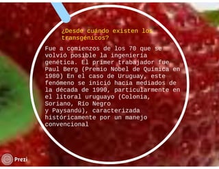 La salud del individuo Aline Weisman