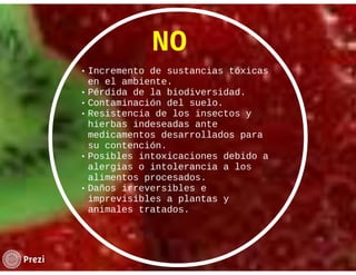 La salud del individuo Aline Weisman