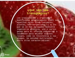 La salud del individuo Aline Weisman