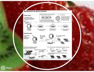 La salud del individuo Aline Weisman