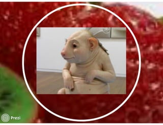 La salud del individuo Aline Weisman