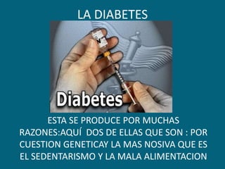 LA DIABETES




      ESTA SE PRODUCE POR MUCHAS
RAZONES:AQUÍ DOS DE ELLAS QUE SON : POR
CUESTION GENETICAY LA MAS NOSIVA QUE ES
EL SEDENTARISMO Y LA MALA ALIMENTACION
 
