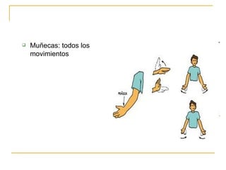 Muñecas: todos los movimientos 