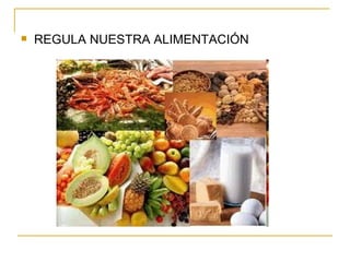 REGULA NUESTRA ALIMENTACIÓN 