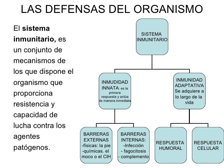 Factores ambientales consumo de drogas Factores ambientales consumo de drogas