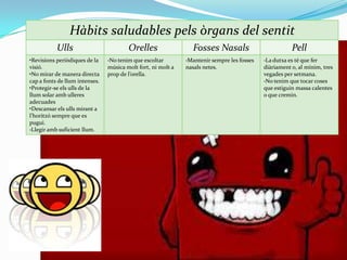 Hàbits saludables pels òrgans del sentit
Ulls
•Revisions periòdiques de la
visió.
•No mirar de manera directa
cap a fonts de llum intenses.
•Protegir-se els ulls de la
llum solar amb ulleres
adecuades
•Descansar els ulls mirant a
l’horitzó sempre que es
pugui.
·Llegir amb suficient llum.

Orelles
·No tenim que escoltar
música molt fort, ni molt a
prop de l’orella.

Fosses Nasals

Pell

·Mantenir sempre les fosses
nasals netes.

·La dutxa es té que fer
diàriament o, al mínim, tres
vegades per setmana.
·No tenim que tocar coses
que estiguin massa calentes
o que cremin.

 