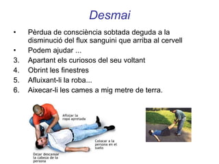 Desmai Pèrdua de consciència sobtada deguda a la disminució del flux sanguini que arriba al cervell Podem ajudar ... Apartant els curiosos del seu voltant Obrint les finestres  Afluixant-li la roba... Aixecar-li les cames a mig metre de terra. 