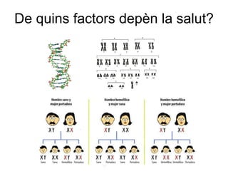De quins factors depèn la salut?  
