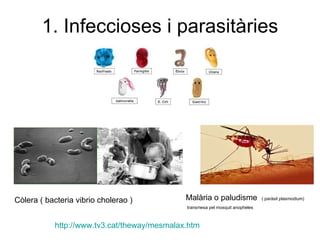 1. Infeccioses i parasitàries Còlera ( bacteria vibrio cholerao ) Malària o paludisme  ( paràsit plasmodium) transmesa pel mosquit anopheles http ://www.tv3.cat/ theway / mesmalax.htm   