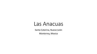 Las Anacuas
Santa Catarina, Nuevo León
Monterrey, Mexico
 