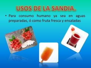 • Para consumo humano ya sea en aguas
  preparadas, ó como fruta fresca y ensaladas
 