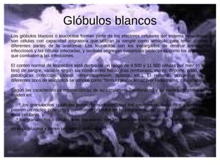 Glóbulos blancos Los glóbulos blancos o leucocitos forman parte de los efectores celulares del sistema inmunitario, y son células con capacidad migratoria que utilizan la sangre como vehículo para tener acceso a diferentes partes de la anatomía. Los leucocitos son los encargados de destruir los agentes infecciosos y las células infectadas, y también segregan sustancias protectoras como los anticuerpos, que combaten a las infecciones. El conteo normal de leucocitos está dentro de un rango de 4.500 y 11.500 células por mm³ (o micro litro) de sangre, variable según las condiciones fisiológicas (embarazo, estrés, deporte, edad, etc.) y patológicas (infección, cáncer, inmunosupresión, aplasta, etc.). El recuento porcentual de los diferentes tipos de leucocitos se conoce como "fórmula leucocitosis" (ver Heliograma, más adelante). Según las características microscópicas de su citoplasma (territoriales) y su núcleo (morfología), se dividen en: * los granulocitos o células polimorfo nucleares: son los neutrónicos, basó filos y hispanófilos; poseen un núcleo polimorfo y numerosos gránulos en su citoplasma, con tinción diferencial según los tipos celulares, y * los granulocitos o células termonucleares: son los linfocitos y los monocitos; carecen de gránulos en el citoplasma y tienen un núcleo   redondeado 