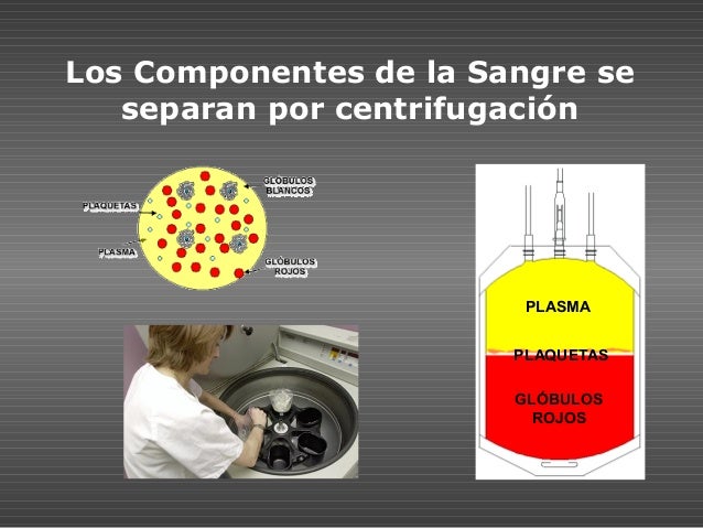 La Donación de Sangre