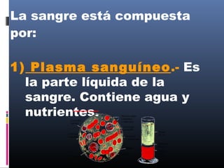 La sangre está compuesta
por:
1) Plasma sanguíneo.- Es
la parte líquida de la
sangre. Contiene agua y
nutrientes.
 