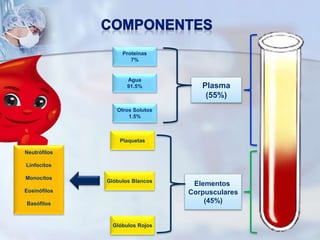 Plasma
(55%)
Elementos
Corpusculares
(45%)
Proteínas
7%
Agua
91.5%
Otros Solutos
1.5%
Plaquetas
Glóbulos Blancos
Glóbulos Rojos
Neutrófilos
Linfocitos
Monocitos
Eosinófilos
Basófilos
