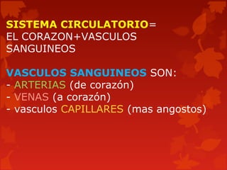 SISTEMA CIRCULATORIO=
EL CORAZON+VASCULOS
SANGUINEOS
VASCULOS SANGUINEOS SON:
- ARTERIAS (de corazón)
- VENAS (a corazón)
- vasculos CAPILLARES (mas angostos)