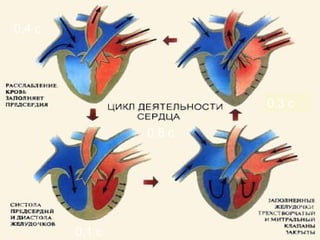0,1 с
0,3 с
0,4 с
0,8 с