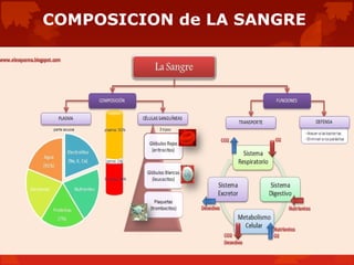 COMPOSICION de LA SANGRE
 