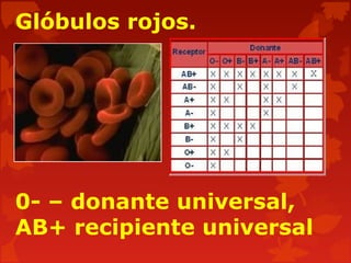 Glóbulos rojos.
0- – donante universal,
AB+ recipiente universal
 