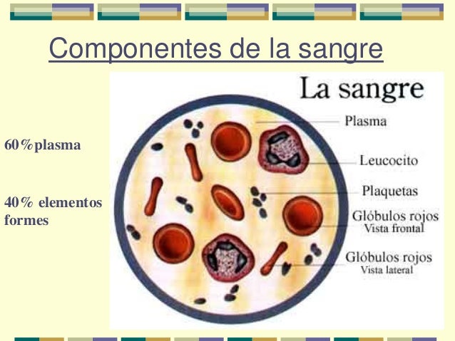 Componentes Celulares Y No Celulares De La Sangre es.slideshare.net