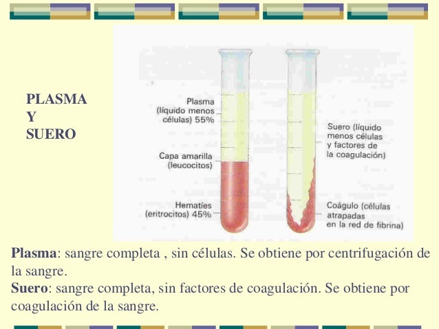 Triglicéridos en suero