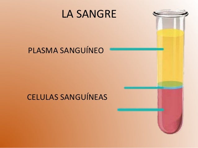 Resultado de imagen de plasma y celulas