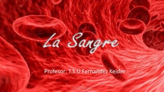 Profesor: T.S.U Fernandez Keider
T.S.U Fernández Keider
 