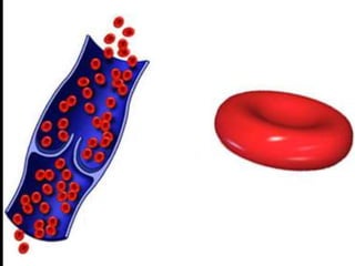 IES ALBAIDA (ALMERÍA)
 