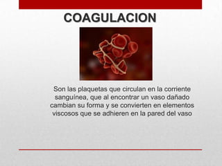 COAGULACION

Son las plaquetas que circulan en la corriente
sanguínea, que al encontrar un vaso dañado
cambian su forma y se convierten en elementos
viscosos que se adhieren en la pared del vaso

 