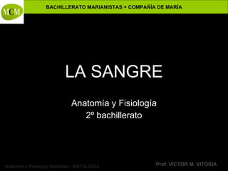 LA SANGRE Anatomía y Fisiología 2º bachillerato 