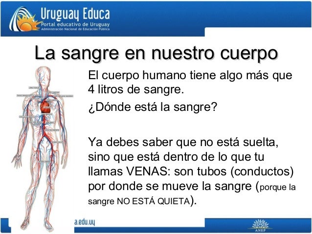 La sangre y el corazón