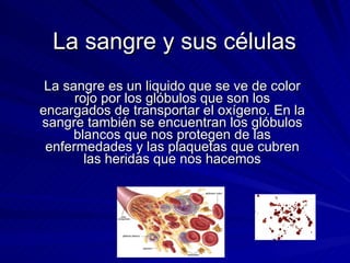 La sangre y sus células  La sangre es un liquido que se ve de color rojo por los glóbulos que son los encargados de transportar el oxígeno. En la sangre también se encuentran los glóbulos blancos que nos protegen de las enfermedades y las plaquetas que cubren las heridas que nos hacemos 