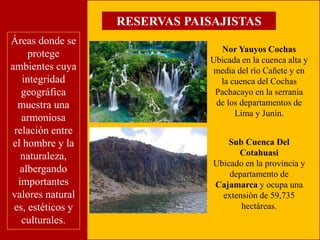 Áreas donde se 
protege 
ambientes cuya 
integridad 
geográfica 
muestra una 
armoniosa 
relación entre 
el hombre y la 
naturaleza, 
albergando 
importantes 
valores natural 
es, estéticos y 
culturales. 
RESERVAS PAISAJISTAS 
Nor Yauyos Cochas 
Ubicada en la cuenca alta y 
media del río Cañete y en 
la cuenca del Cochas 
Pachacayo en la serranía 
de los departamentos de 
Lima y Junín. 
Sub Cuenca Del 
Cotahuasi 
Ubicado en la provincia y 
departamento de 
Cajamarca y ocupa una 
extensión de 59,735 
hectáreas. 
 