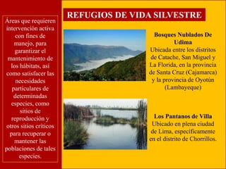 Áreas que requieren 
intervención activa 
con fines de 
manejo, para 
garantizar el 
mantenimiento de 
los hábitats, así 
como satisfacer las 
necesidades 
particulares de 
determinadas 
especies, como 
sitios de 
reproducción y 
otros sitios críticos 
para recuperar o 
mantener las 
poblaciones de tales 
especies. 
REFUGIOS DE VIDA SILVESTRE 
Bosques Nublados De 
Udima 
Ubicada entre los distritos 
de Catache, San Miguel y 
La Florida, en la provincia 
de Santa Cruz (Cajamarca) 
y la provincia de Oyotún 
(Lambayeque) 
Los Pantanos de Villa 
Ubicado en plena ciudad 
de Lima, específicamente 
en el distrito de Chorrillos. 
