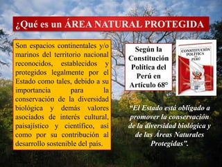 ¿Qué es un ÁREA NATURAL PROTEGIDA 
Son espacios continentales y/o 
marinos del territorio nacional 
reconocidos, establecidos y 
protegidos legalmente por el 
Estado como tales, debido a su 
importancia para la 
conservación de la diversidad 
biológica y demás valores 
asociados de interés cultural, 
paisajístico y científico, así 
como por su contribución al 
desarrollo sostenible del país. 
Según la 
Constitución 
Política del 
Perú en 
Artículo 68° 
“El Estado está obligado a 
promover la conservación 
de la diversidad biológica y 
de las Áreas Naturales 
Protegidas”. 
 