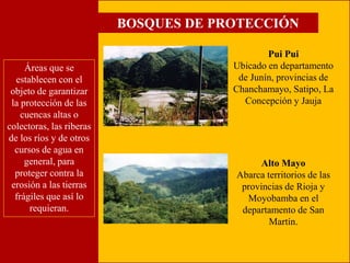 Áreas que se 
establecen con el 
objeto de garantizar 
la protección de las 
cuencas altas o 
colectoras, las riberas 
de los ríos y de otros 
cursos de agua en 
general, para 
proteger contra la 
erosión a las tierras 
frágiles que así lo 
requieran. 
BOSQUES DE PROTECCIÓN 
Pui Pui 
Ubicado en departamento 
de Junín, provincias de 
Chanchamayo, Satipo, La 
Concepción y Jauja 
Alto Mayo 
Abarca territorios de las 
provincias de Rioja y 
Moyobamba en el 
departamento de San 
Martín. 
 