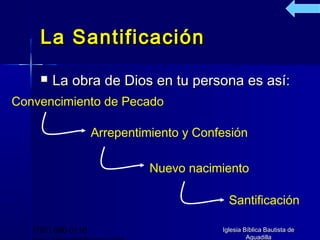 La Santificación
        La obra de Dios en tu persona es así:
Convencimiento de Pecado

                    Arrepentimiento y Confesión

                              Nuevo nacimiento

                                            Santificación

   (787) 890-0118                         Iglesia Bíblica Bautista de
                                                   Aguadilla
 
