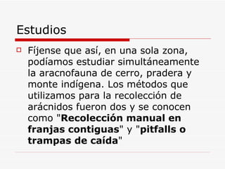 Estudios Fíjense que así, en una sola zona, podíamos estudiar simultáneamente la aracnofauna de cerro, pradera y monte indígena. Los métodos que utilizamos para la recolección de arácnidos fueron dos y se conocen como " Recolección manual en franjas contiguas " y " pitfalls o trampas de caída "
