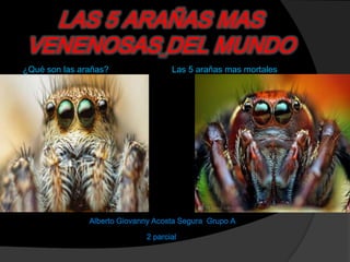 LAS 5 ARAÑAS MAS
VENENOSAS DEL MUNDO
¿Qué son las arañas?

Las 5 arañas mas mortales

Alberto Giovanny Acosta Segura Grupo A
2 parcial

 