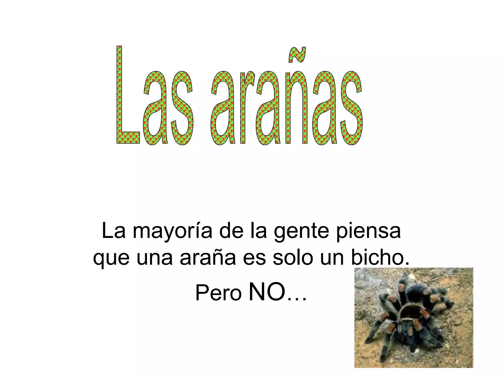La mayoría de la gente piensa
que una araña es solo un bicho.
         Pero NO…
 