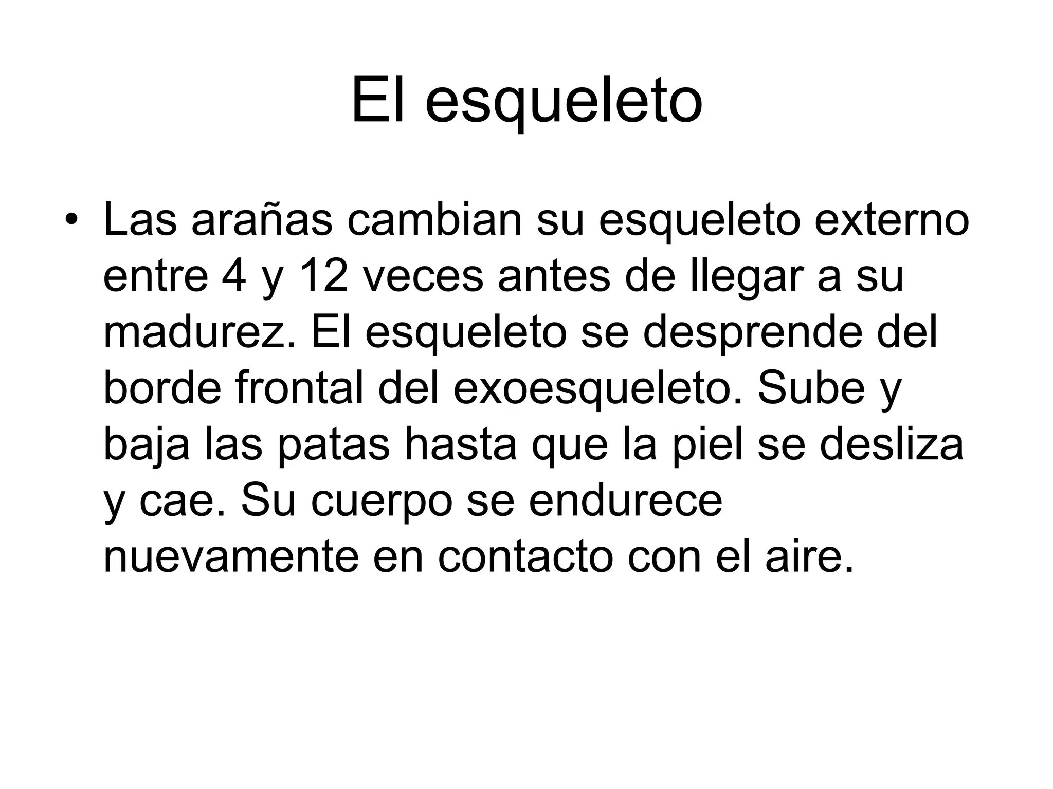 El esqueleto
• Las arañas cambian su esqueleto externo
  entre 4 y 12 veces antes de llegar a su
  madurez. El esqueleto se desprende del
  borde frontal del exoesqueleto. Sube y
  baja las patas hasta que la piel se desliza
  y cae. Su cuerpo se endurece
  nuevamente en contacto con el aire.
 