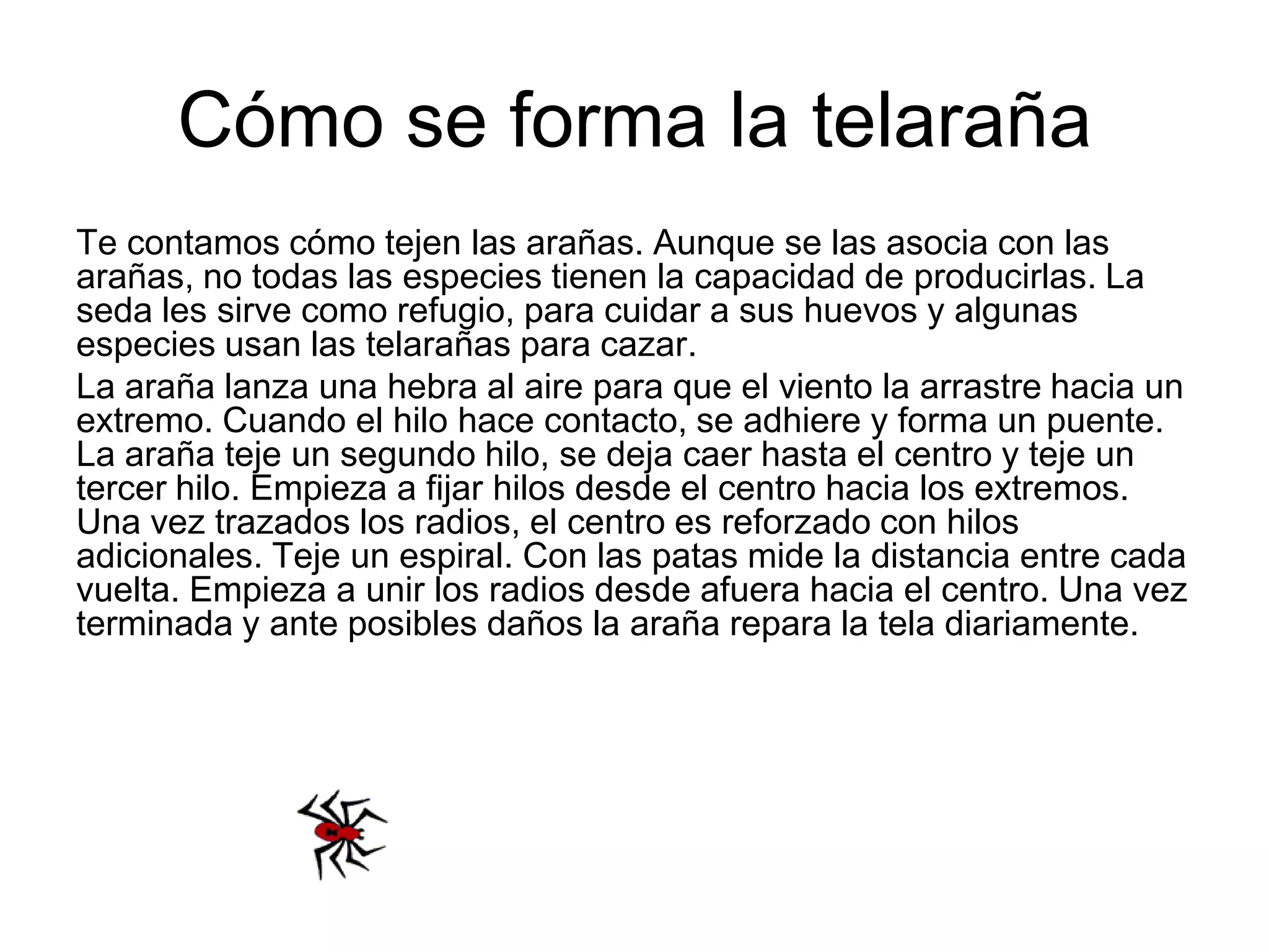 Cómo se forma la telaraña
Te contamos cómo tejen las arañas. Aunque se las asocia con las
arañas, no todas las especies tienen la capacidad de producirlas. La
seda les sirve como refugio, para cuidar a sus huevos y algunas
especies usan las telarañas para cazar.
La araña lanza una hebra al aire para que el viento la arrastre hacia un
extremo. Cuando el hilo hace contacto, se adhiere y forma un puente.
La araña teje un segundo hilo, se deja caer hasta el centro y teje un
tercer hilo. Empieza a fijar hilos desde el centro hacia los extremos.
Una vez trazados los radios, el centro es reforzado con hilos
adicionales. Teje un espiral. Con las patas mide la distancia entre cada
vuelta. Empieza a unir los radios desde afuera hacia el centro. Una vez
terminada y ante posibles daños la araña repara la tela diariamente.
 