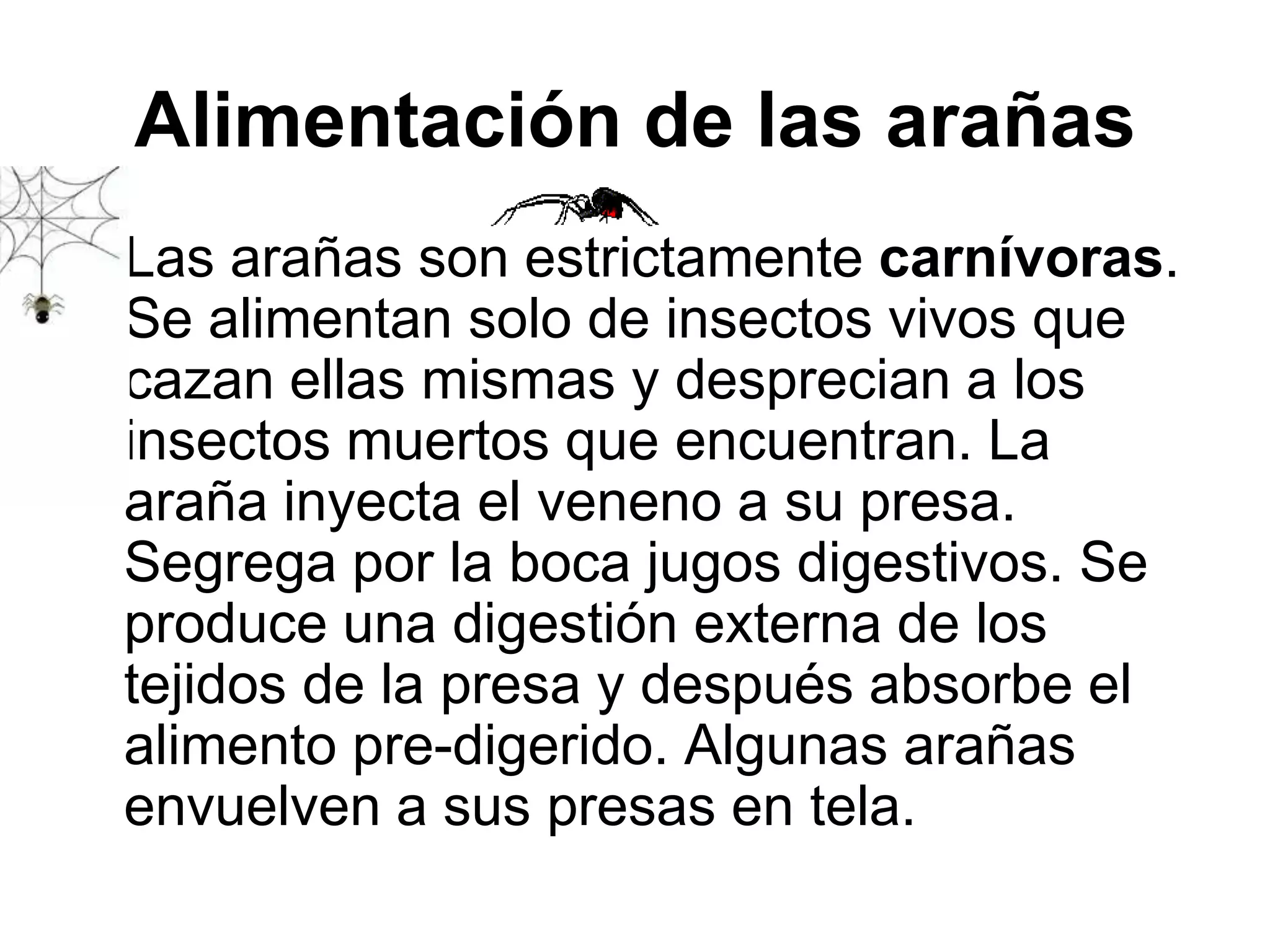 Alimentación de las arañas
• Las arañas son estrictamente carnívoras.
  Se alimentan solo de insectos vivos que
  cazan ellas mismas y desprecian a los
  insectos muertos que encuentran. La
  araña inyecta el veneno a su presa.
  Segrega por la boca jugos digestivos. Se
  produce una digestión externa de los
  tejidos de la presa y después absorbe el
  alimento pre-digerido. Algunas arañas
  envuelven a sus presas en tela.
 